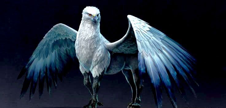 Hippogriff