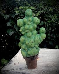 Mimbulus Mimbletonia