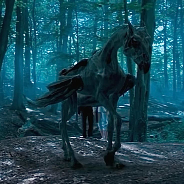 Thestral